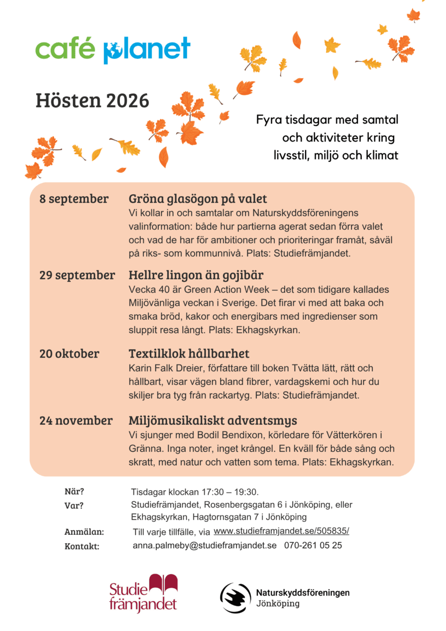Program Café planet
